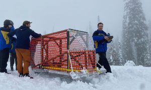 Concrete toboggan race returns to Kelowna, Big White