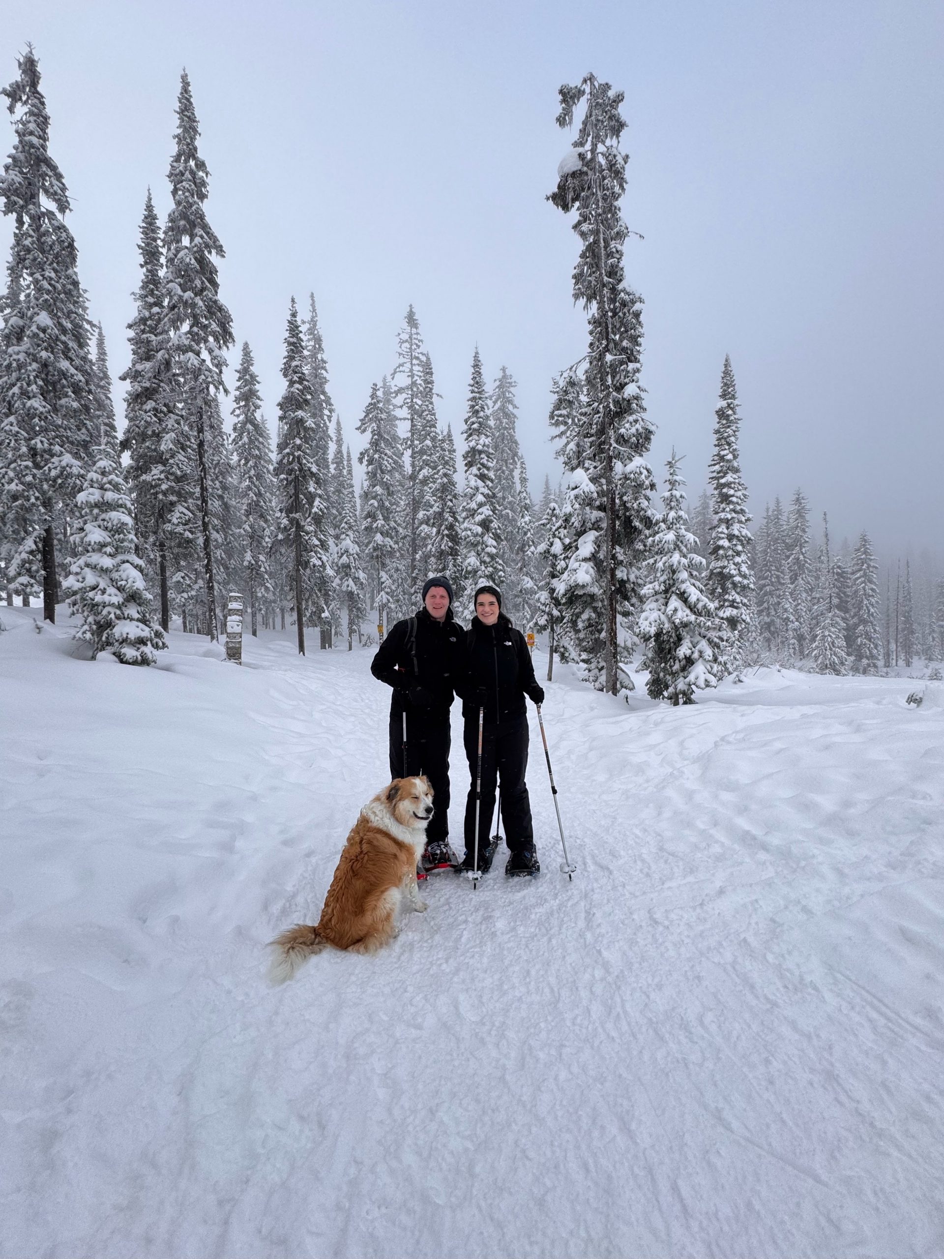 Man woman and dog standing in snow with trees in the background.